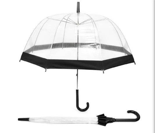 Clear Umbrella